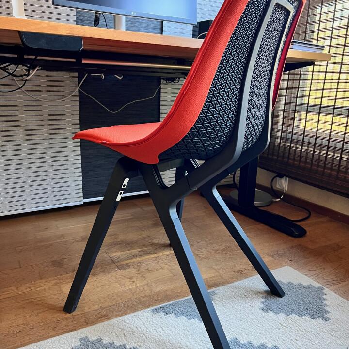 noho Reviews What Customers Are Saying ReviewFeeder