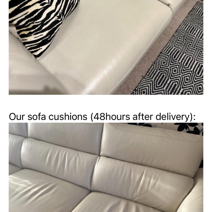 Sofology Reviews What Customers Are Saying ReviewFeeder