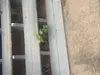 Horrible experience...initial property inspection never complete, months of probelms!!