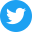 Zager Guitars twitter